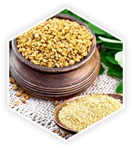 prostavive ingredients – fenugreek extract for prostate health